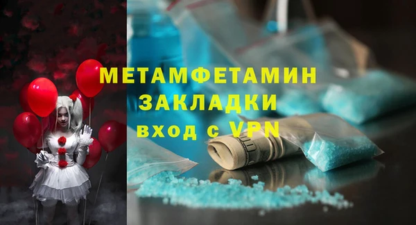 прущие грибы Гусев