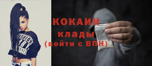 эйфоретик Вяземский