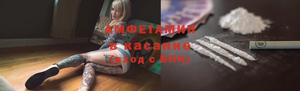 прущие грибы Гусев