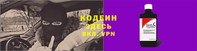 круглые Вязьма