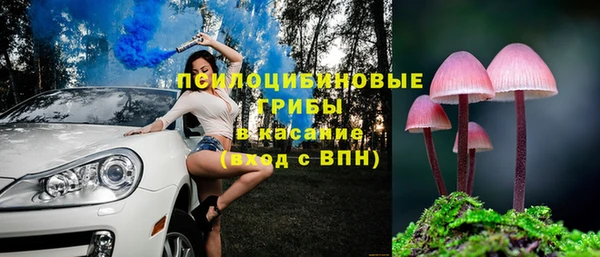 мяу мяу кристалл Горняк