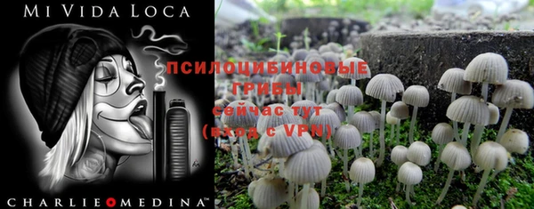 каннабис Горнозаводск