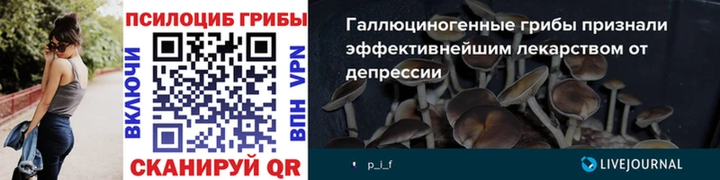 наркотики  Зеленоградск  кракен маркетплейс  Галлюциногенные грибы ЛСД 